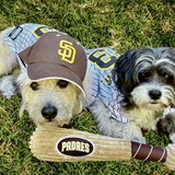 Entry image for Baseball buddies