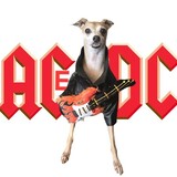 Entry image for ACe DC