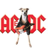 Entry image for ACeDC - Highway to Healing Tour 