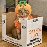 Entry image for Orange you glad you voted for Apricot?