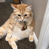 Entry image for Boris Kirby