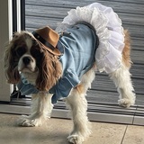 Entry image for Birdie Johns, Two- Stepping her way to a cure for Scleroderma 