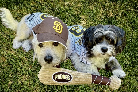 Entry image for Baseball buddies. Clicking this image will show a larger photo