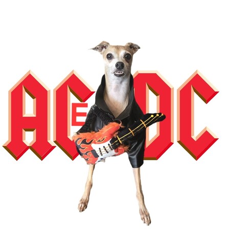 Entry image for ACe DC. Clicking this image will show a larger photo
