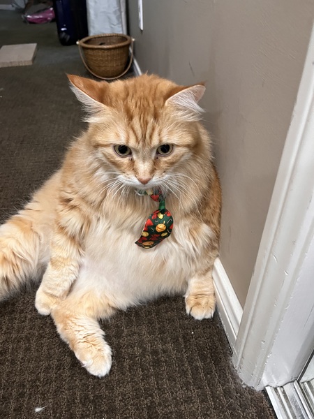 Entry image for Boris Kirby. Clicking this image will show a larger photo