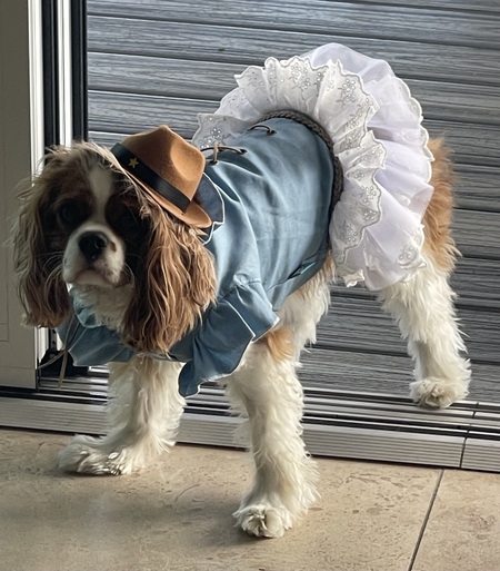 Entry image for Birdie Johns, Two- Stepping her way to a cure for Scleroderma . Clicking this image will show a larger photo