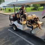 Entry image for Rascal and Houdini (formerly Gabe)