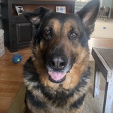 Entry image for Bentlee
