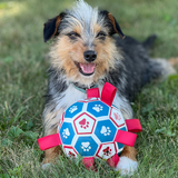 Entry image for Ringo (formally Dillon) 