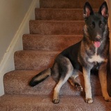 Entry image for Elsa Oates