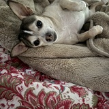 Entry image for Finn