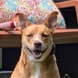 Entry image for Kona