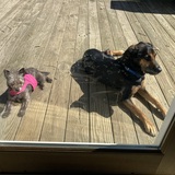 Entry image for Nola and Riley