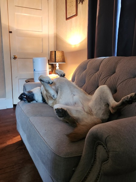 Entry image for Klaus . Clicking this image will show a larger photo