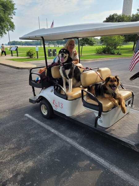 Entry image for Rascal and Houdini (formerly Gabe). Clicking this image will show a larger photo