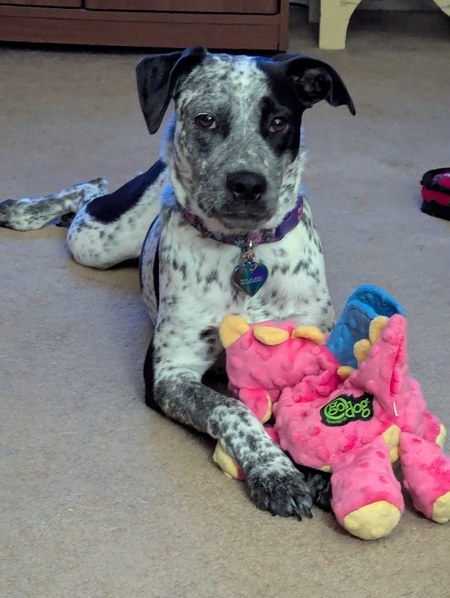 Entry image for Summer . Clicking this image will show a larger photo