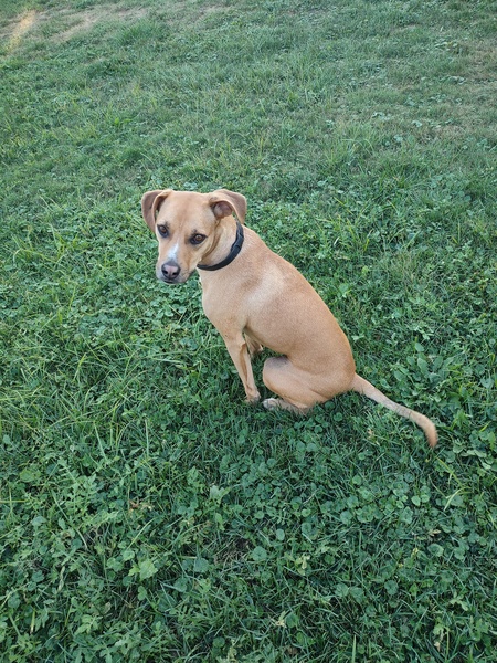 Entry image for Eva . Clicking this image will show a larger photo