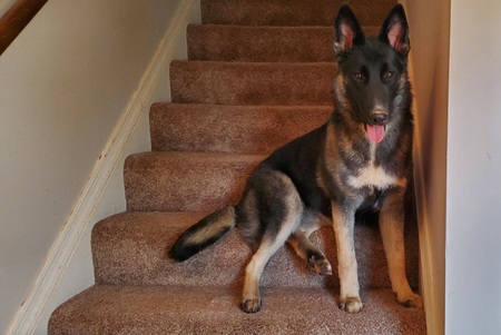 Entry image for Elsa Oates. Clicking this image will show a larger photo