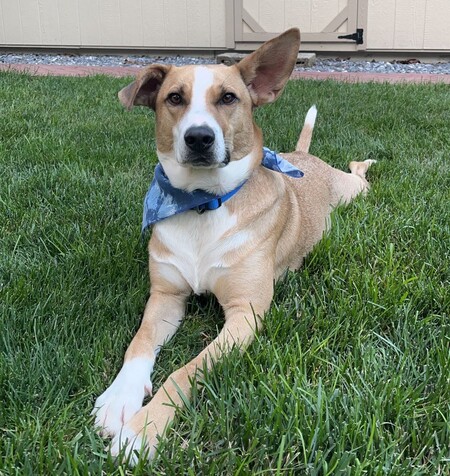 Entry image for Jax Root. Clicking this image will show a larger photo