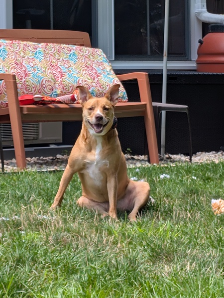 Entry image for Kona. Clicking this image will show a larger photo