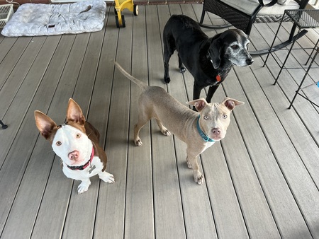 Entry image for Cruise. Clicking this image will show a larger photo