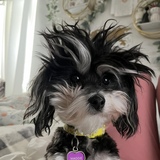 Entry image for Maggie Mae