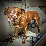 Entry image for Skittles