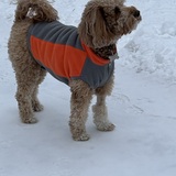 Entry image for Birdie