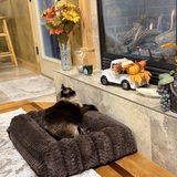 Entry image for Hobbes