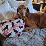 Entry image for Aspen