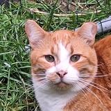 Entry image for Benjamin