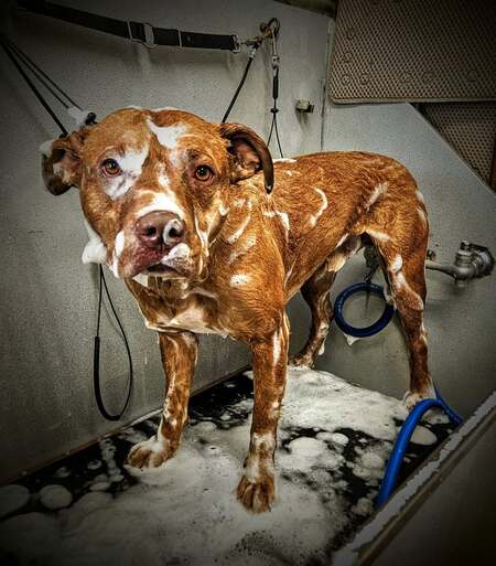 Entry image for Skittles. Clicking this image will show a larger photo