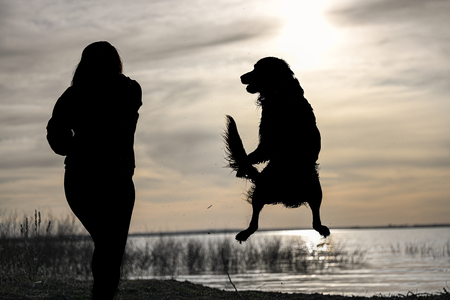 Entry image for Scout. Clicking this image will show a larger photo