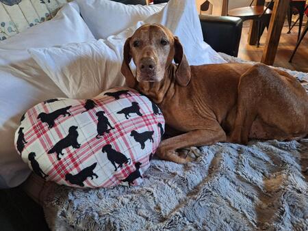 Entry image for Aspen. Clicking this image will show a larger photo