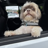 Entry image for Stitch