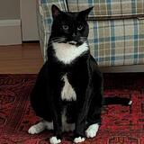 Entry image for Tater