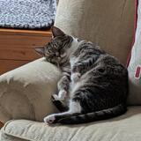 Entry image for Nikki