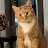 Entry image for Maggie