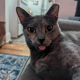 Entry image for Rosalinda :P