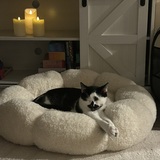 Entry image for Kovu