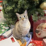 Entry image for Yuki