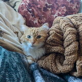 Entry image for Ruby