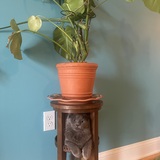 Entry image for Rina Rosenstein