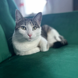 Entry image for Lorelai