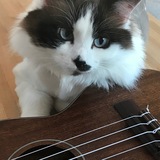 Entry image for Grace