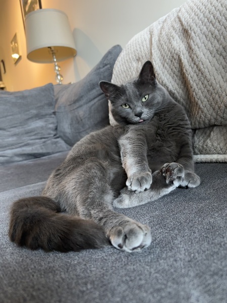 Entry image for Keke. Clicking this image will show a larger photo