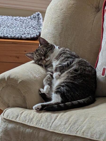 Entry image for Nikki. Clicking this image will show a larger photo