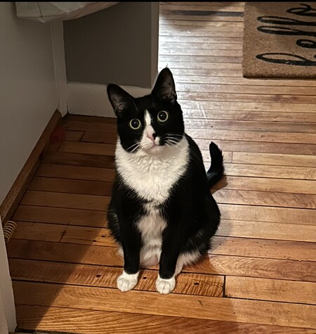 Entry image for Mia . Clicking this image will show a larger photo