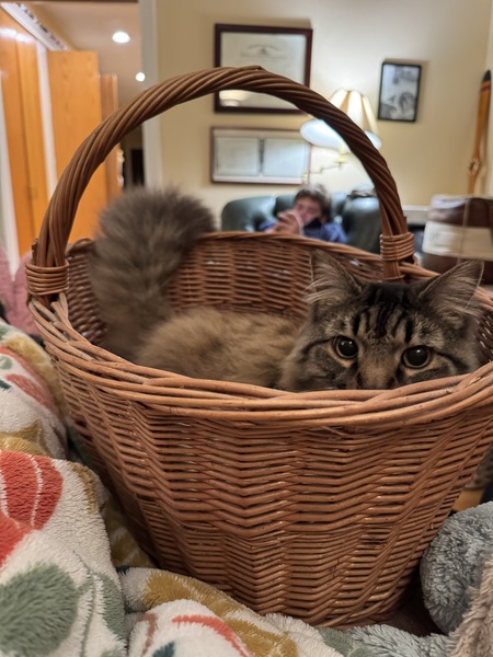 Entry image for Hamlet . Clicking this image will show a larger photo