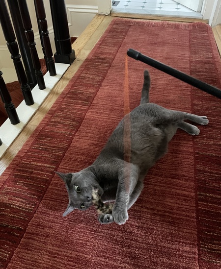 Entry image for Ba Luu. Clicking this image will show a larger photo